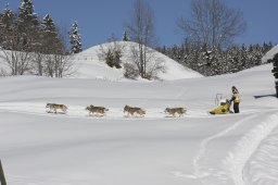 Kandersteg 2013